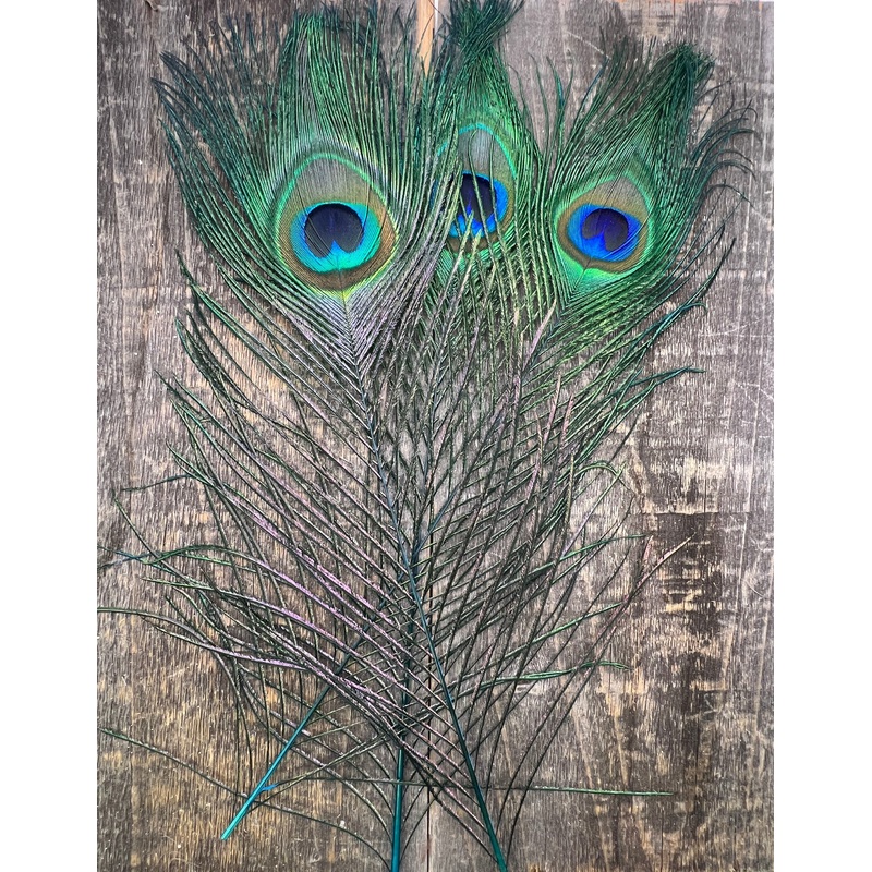 Peacock Eye Sticks