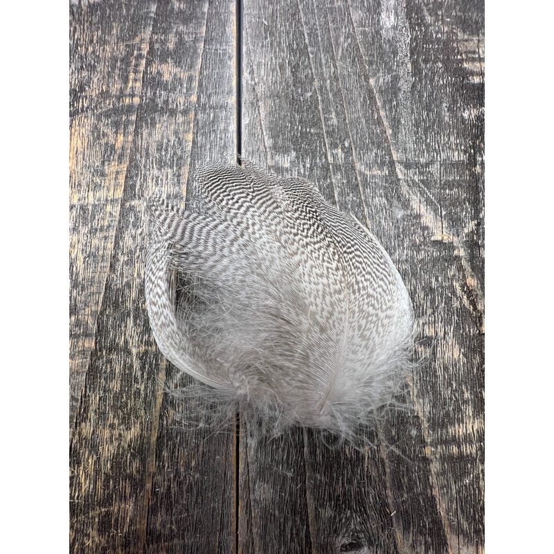 Pintail Flank Feathers