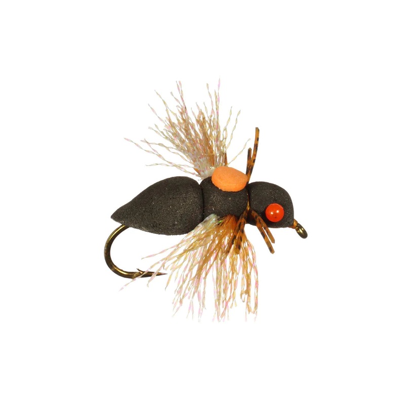 Rainy's Periodic Cicada