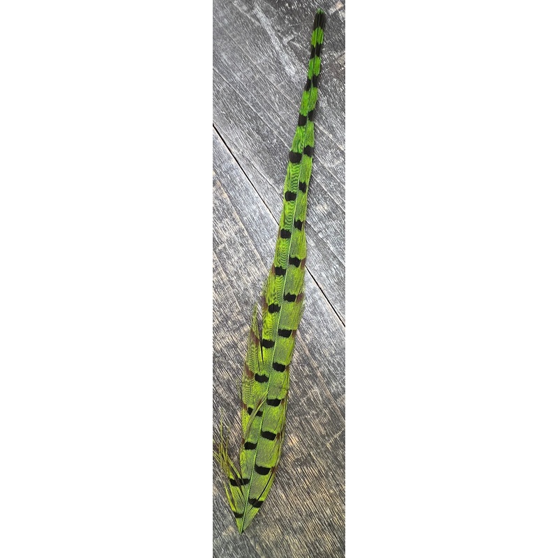 Ringneck Pheasant Tail Nymph Selection