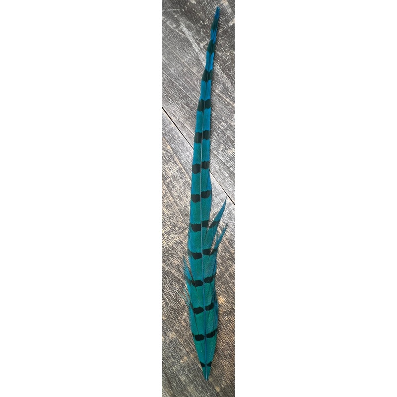 Ringneck Pheasant Tail Steelhead Selection