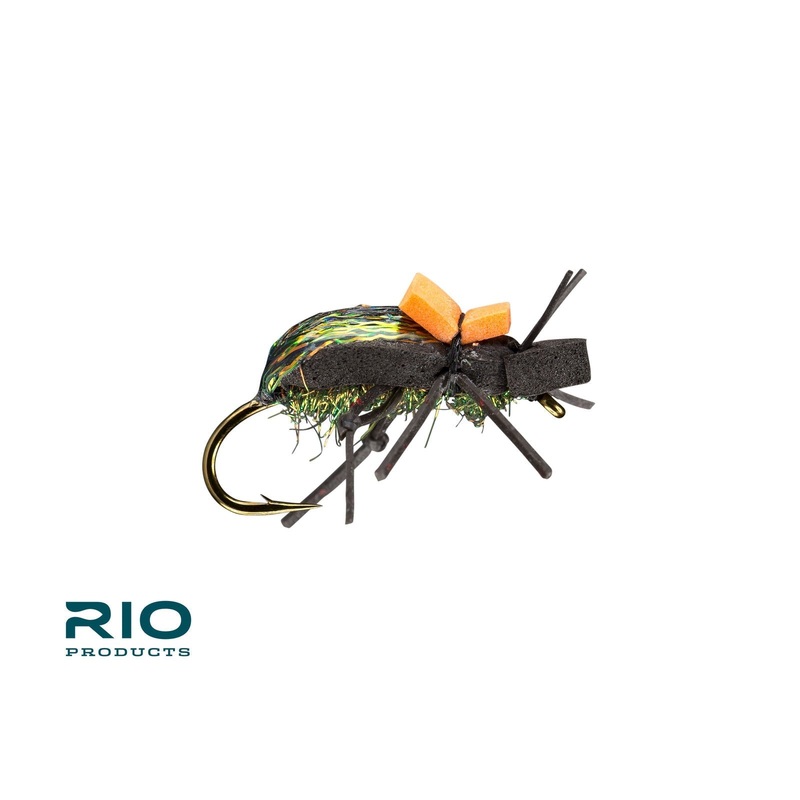 Rio Ground Beetle