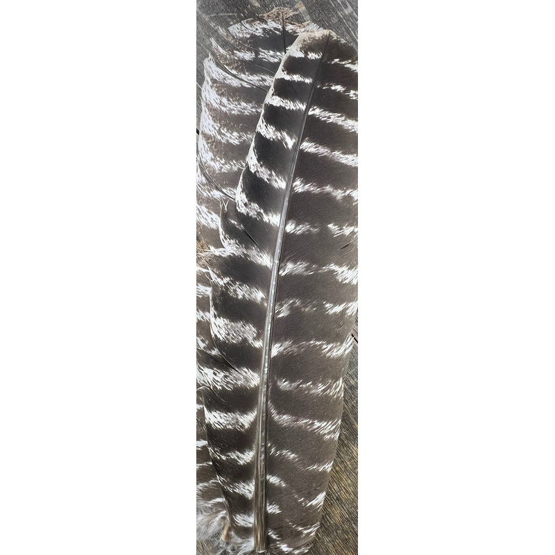 Turkey Secondary Pair Grade 1