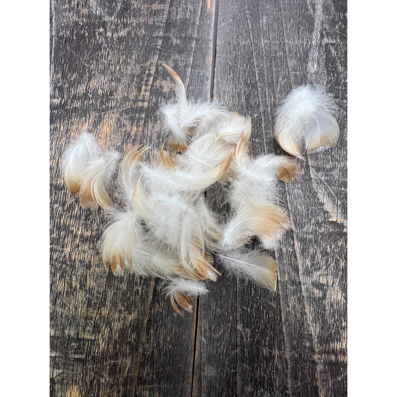 Wood Duck Neck Feathers