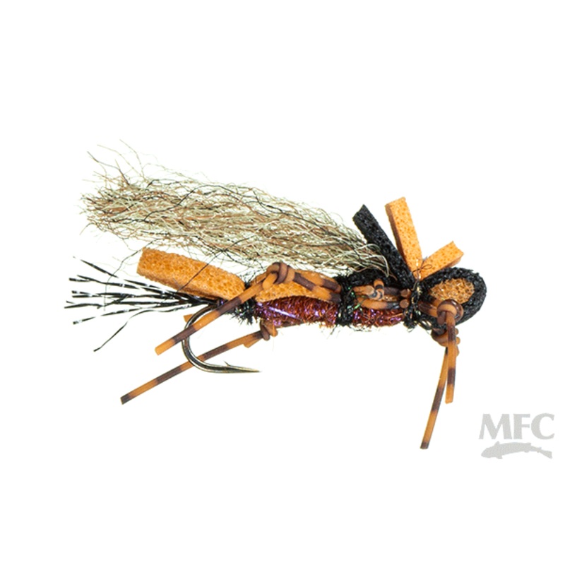 Fool's Gold Cicada