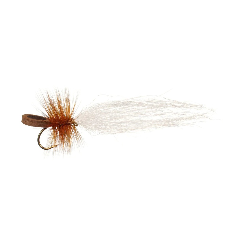 J's Cottonwood Seed