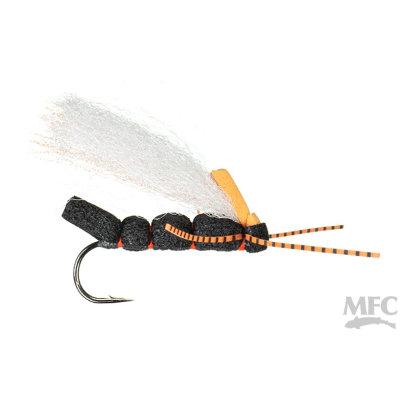 MFC Cook's Cicada Periodic- 04