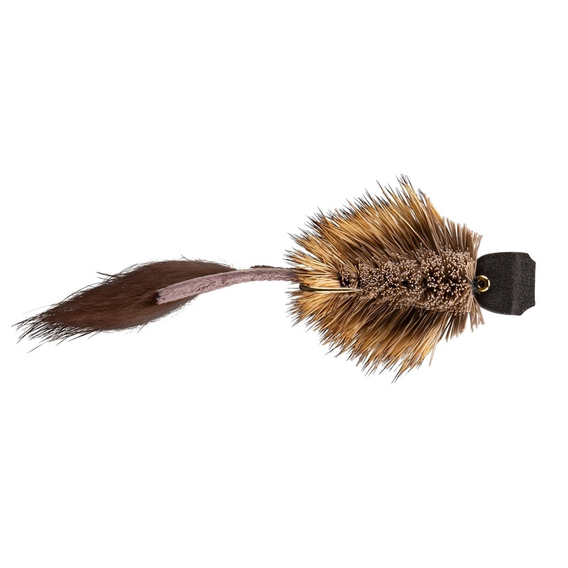 Rio's Morrish Mouse