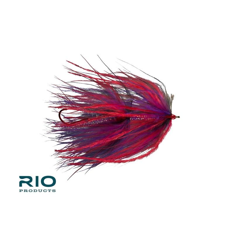 Rio's Trailer Trash- Nightshade size 1