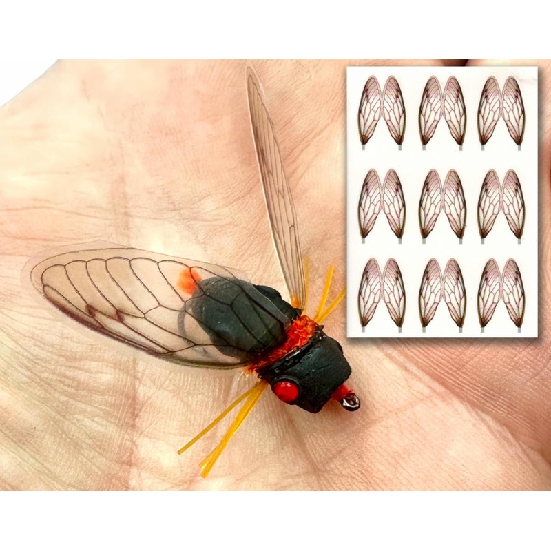 Surface Seducer Cicada Wings- Orange