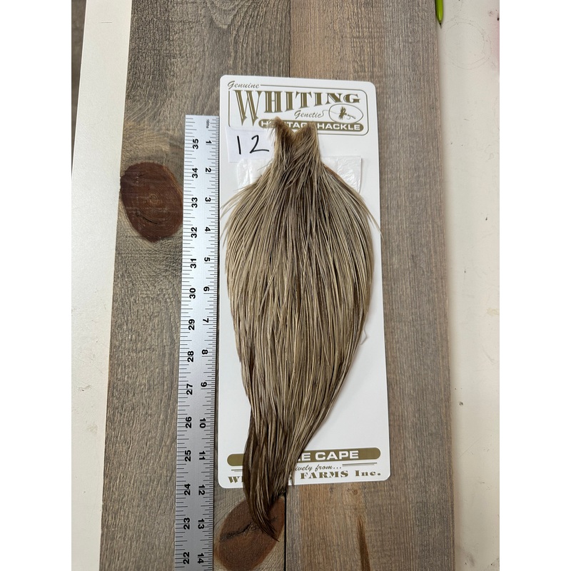Whiting Heritage Cape Grade #1 - #12