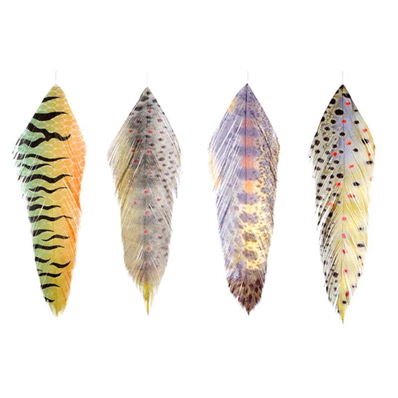 MFC Galloup's Fish Feathers