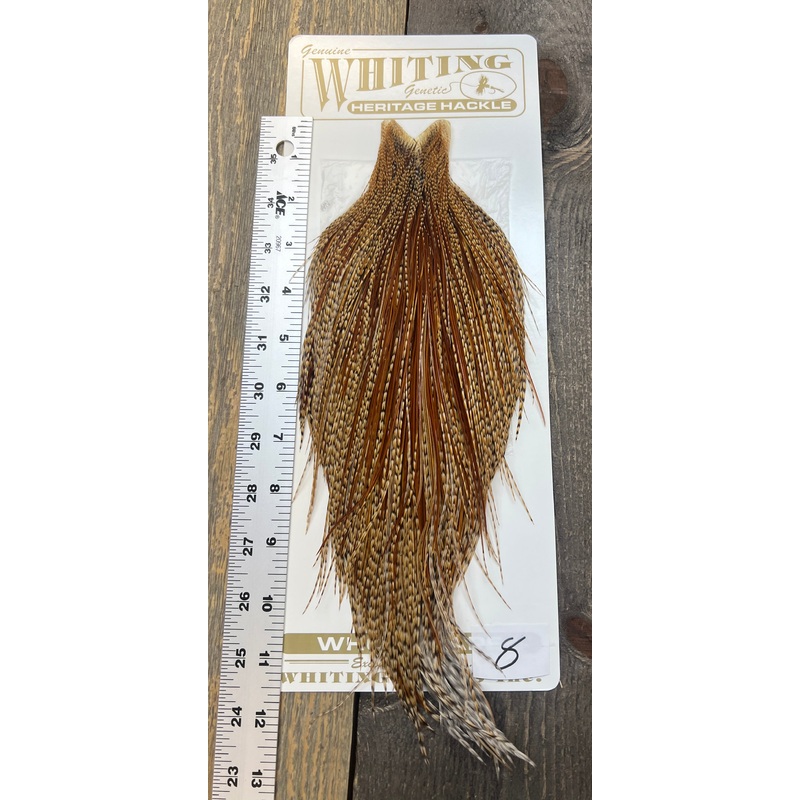 Whiting Heritage Cape Grade #1 - #08