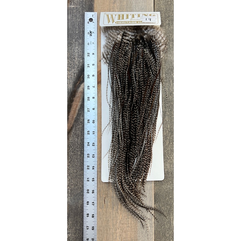 Whiting Heritage Saddle Grade #3 - #19