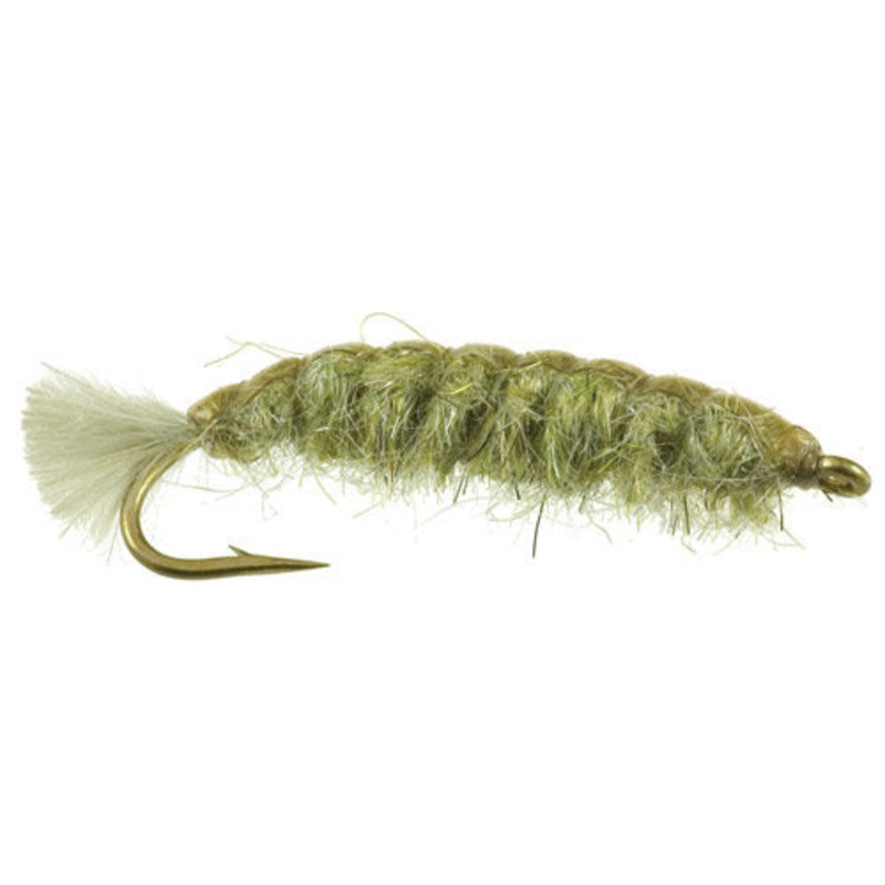 Barr's Cranefly Larva