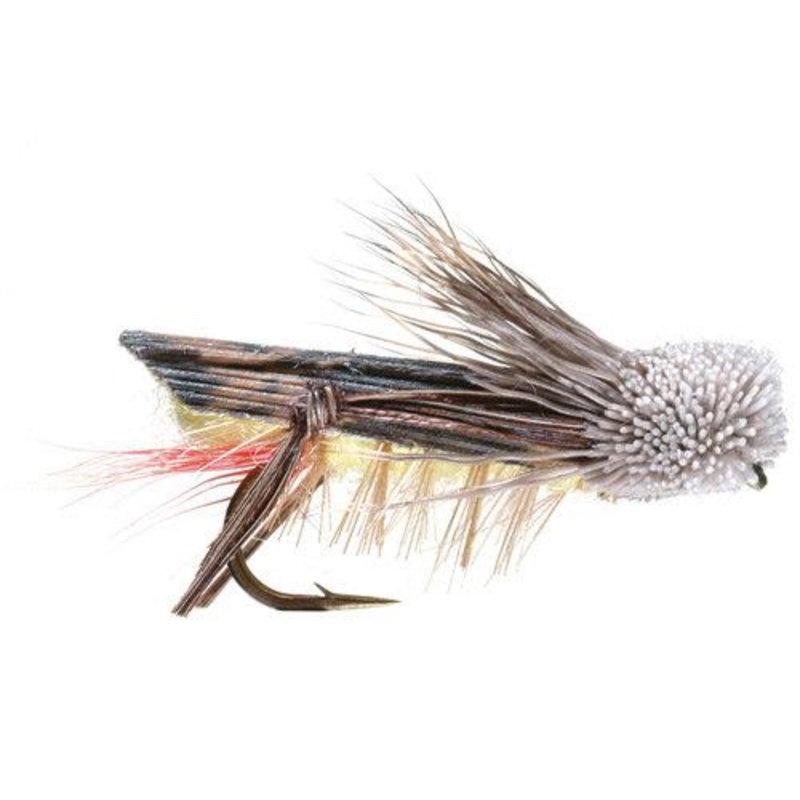 DAVE'S HOPPER