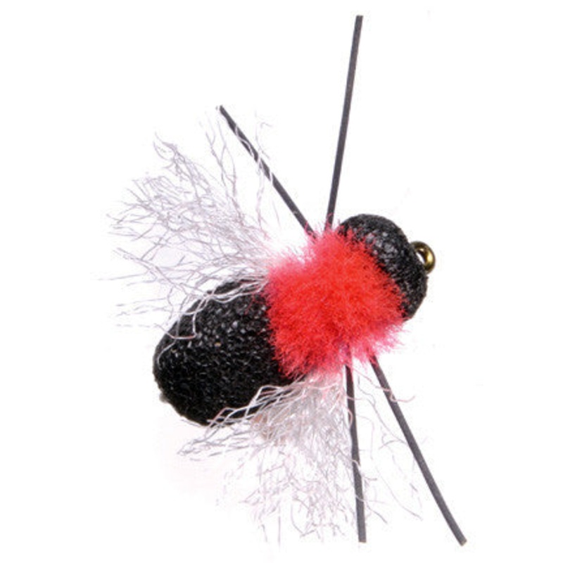 Fathead Beetle