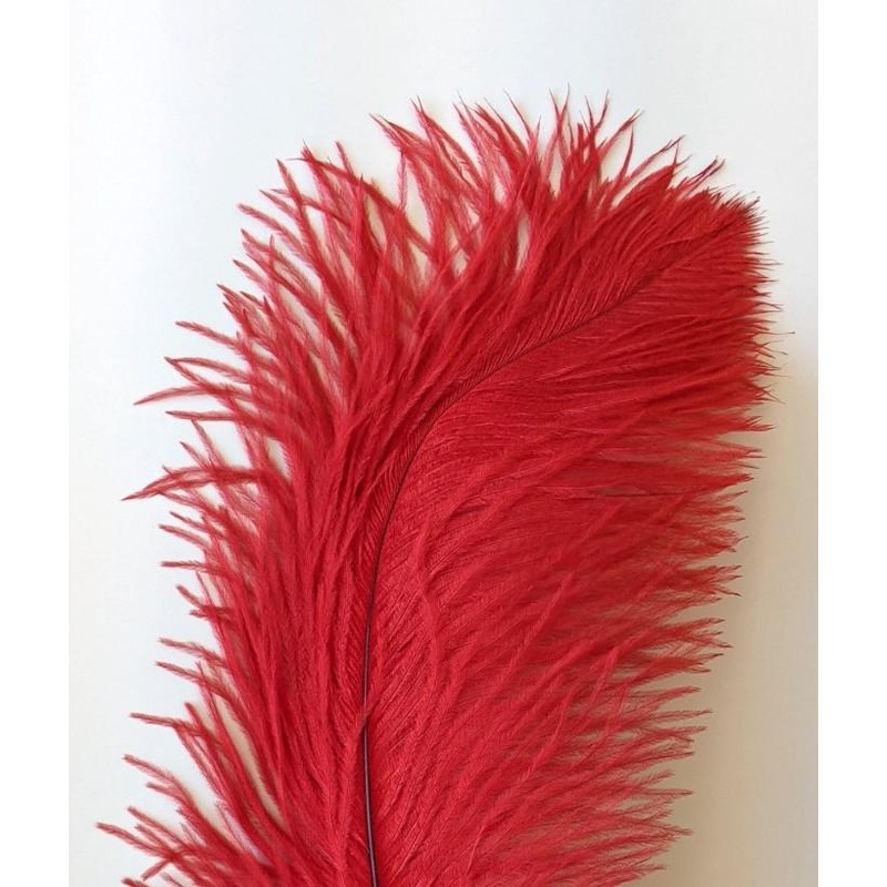 Nature's Spirit Ostrich Plume