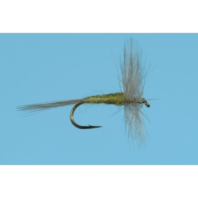 Blue Wing Olive