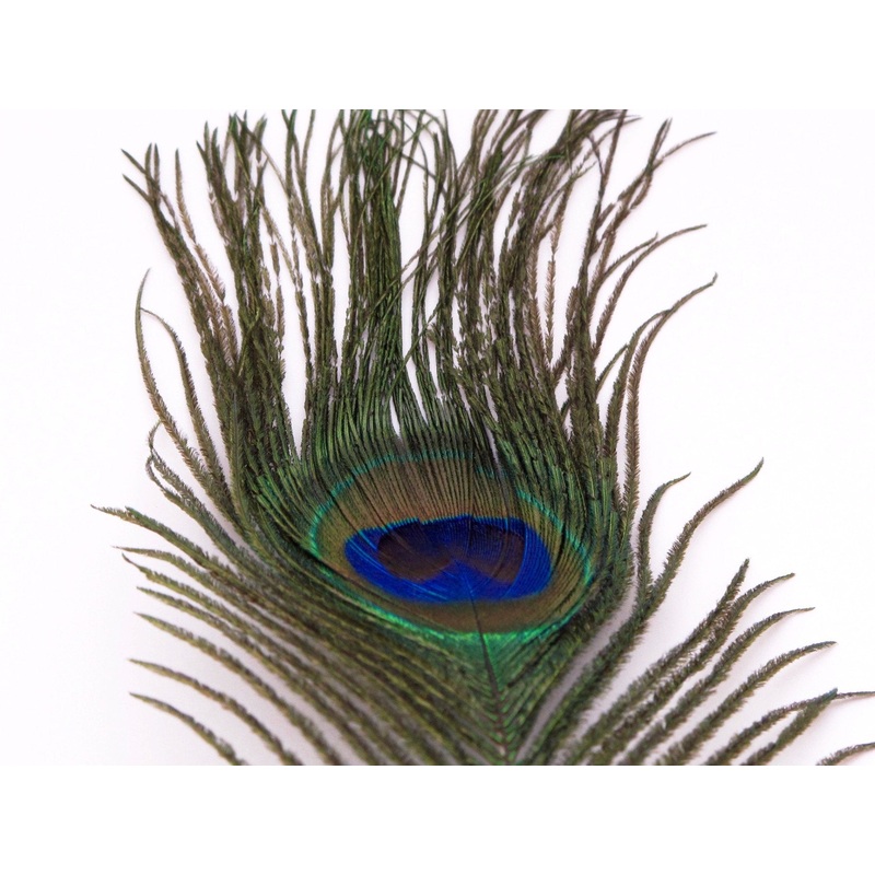 Nature's Spirit Peacock Eye Sticks Natural