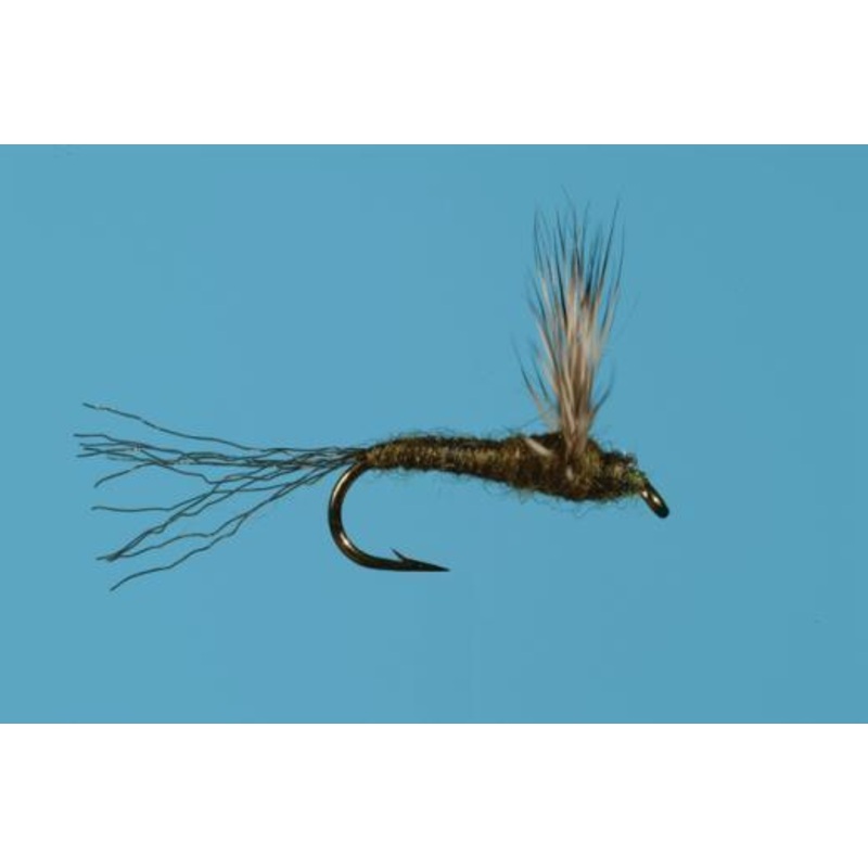 BWO Sparkle Dun