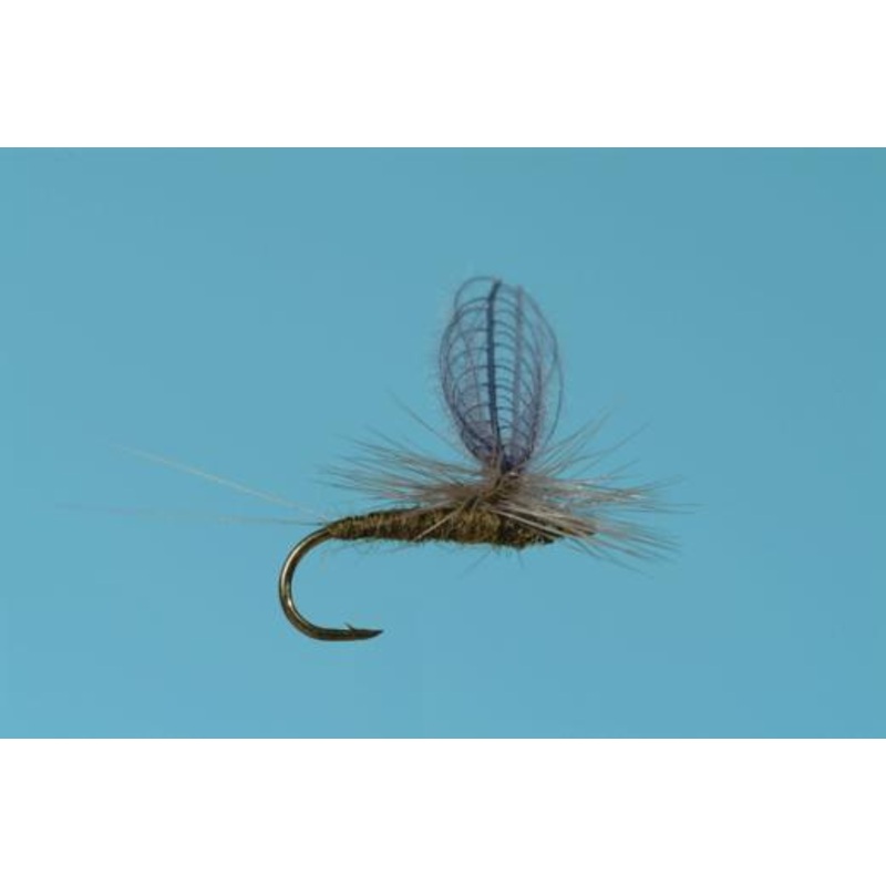 CDC Baetis Dun
