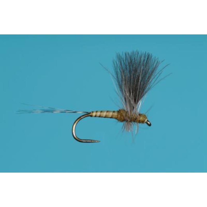 CDC Baetis Thorax Dun