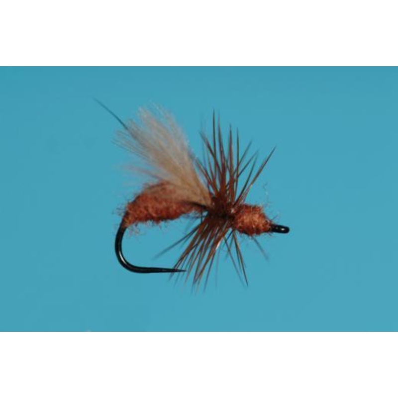CDC FLYING ANT RED