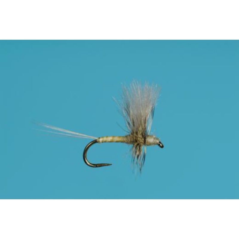 CDC PMD Thorax Dun