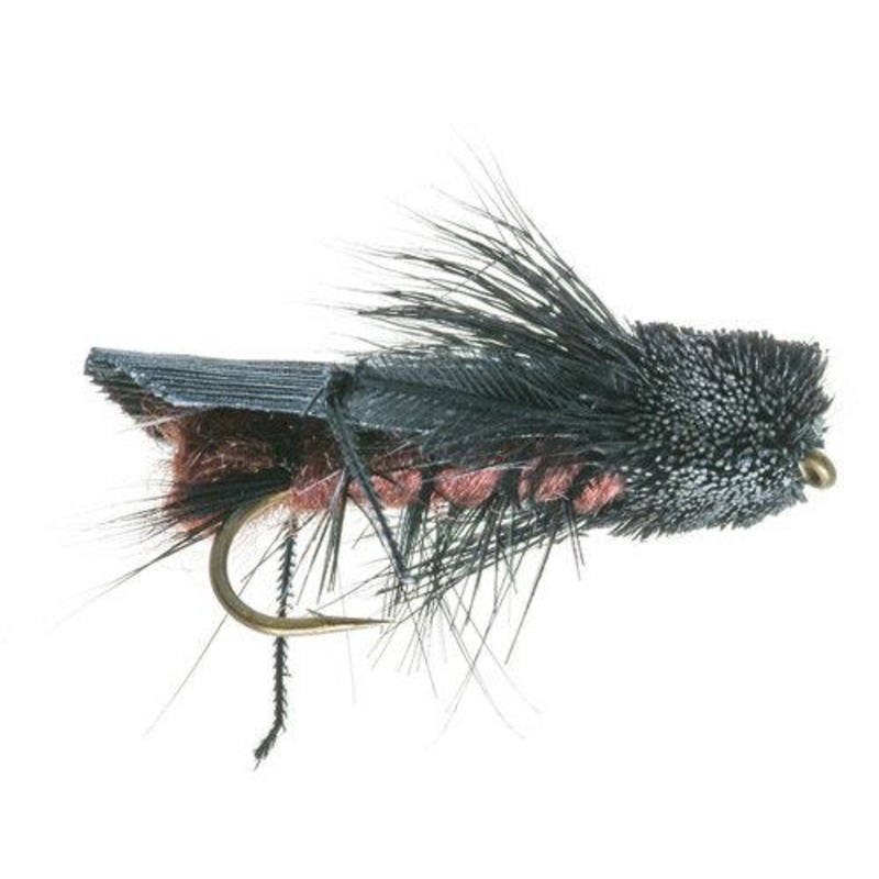 DAVE'S CRICKET