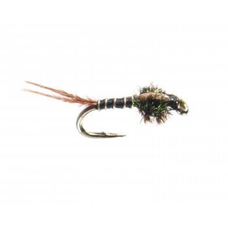 Flashback Quill Nymph