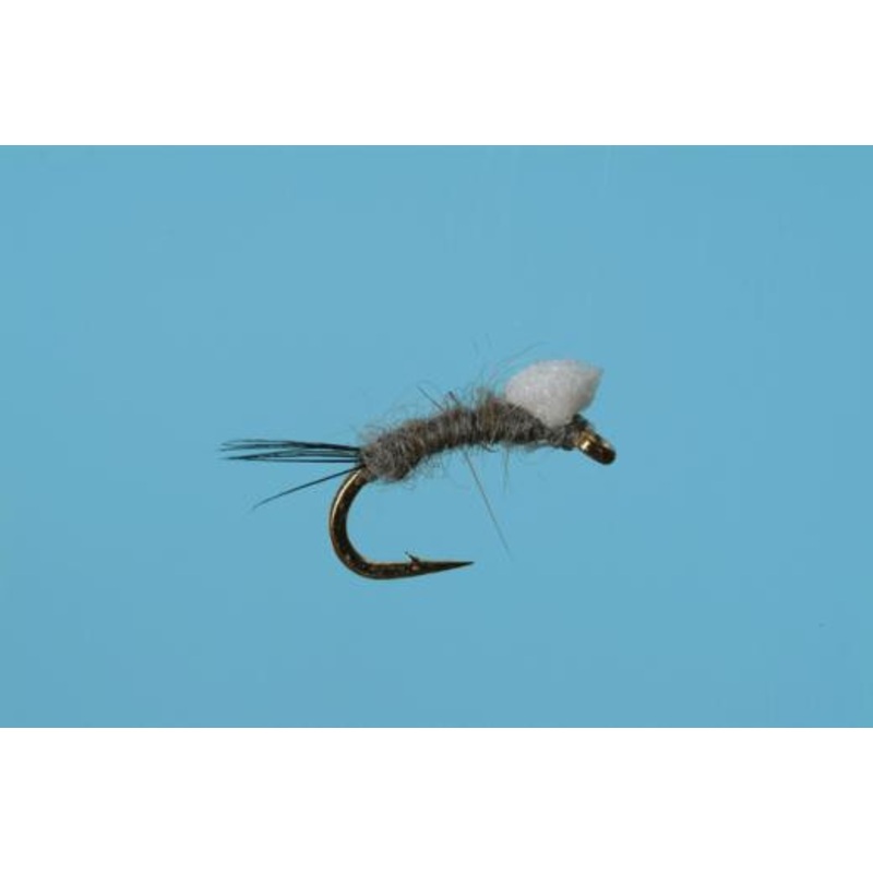 Foam Wing RS2
