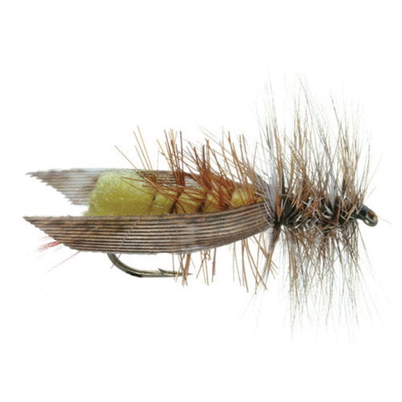 JOE'S HOPPER