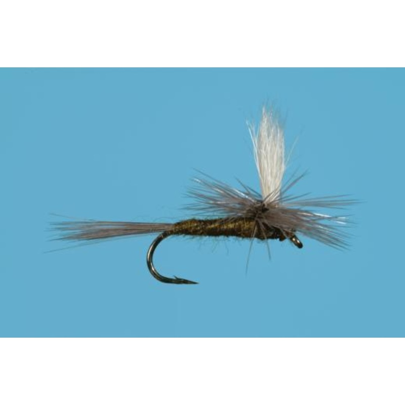 Parachute Blue Winged Olive