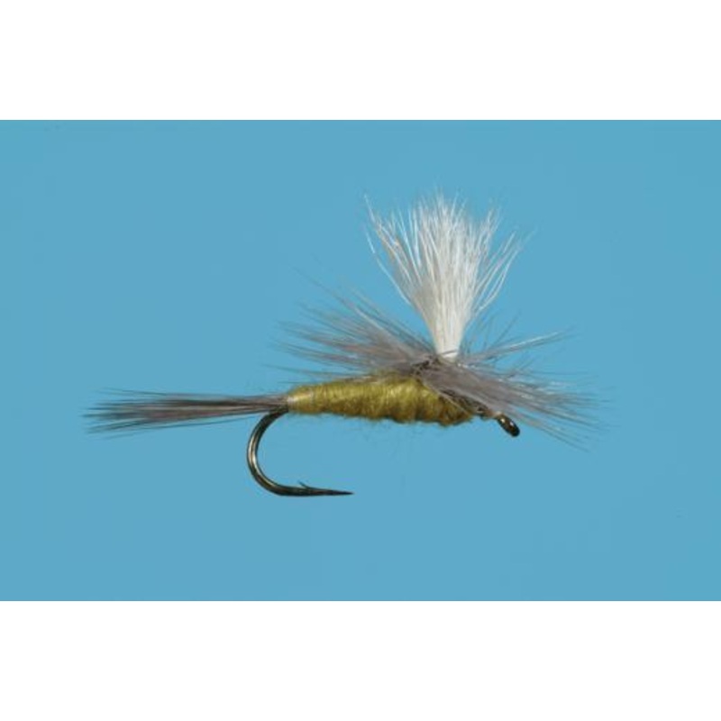 Parachute Pale Evening Dun
