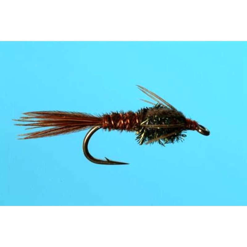 Pheasant Tail Nymph
