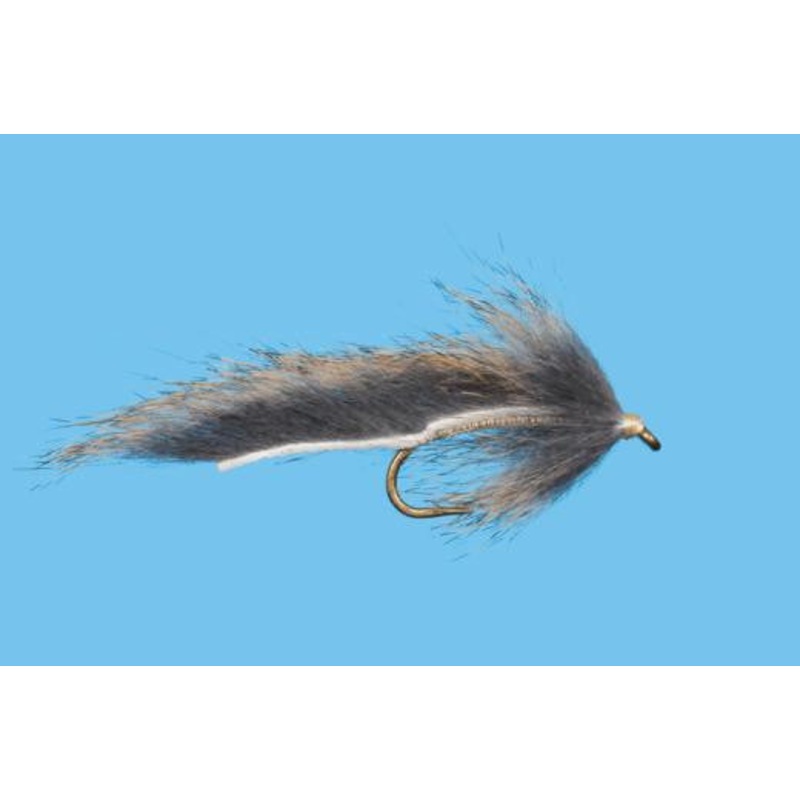 Pine Squirrel Leech