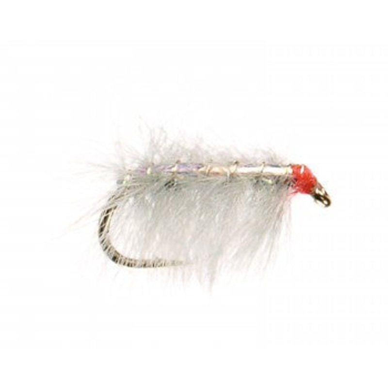 Ray Charles - Sow Bug Fly