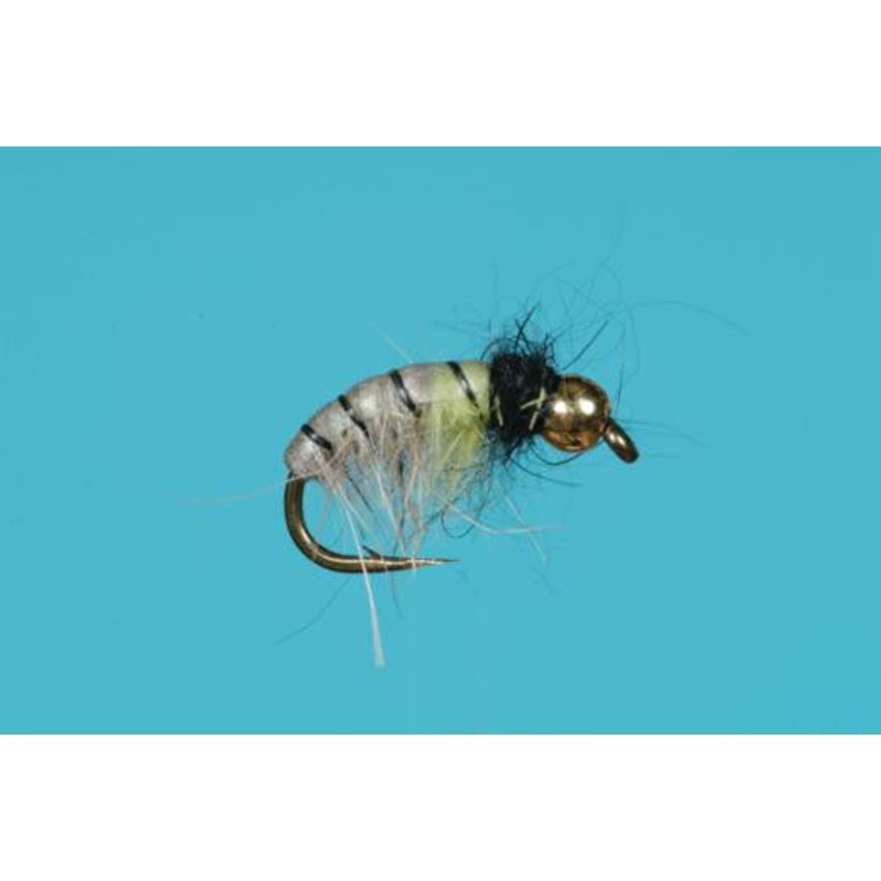 Rhyacophila Czech Nymph