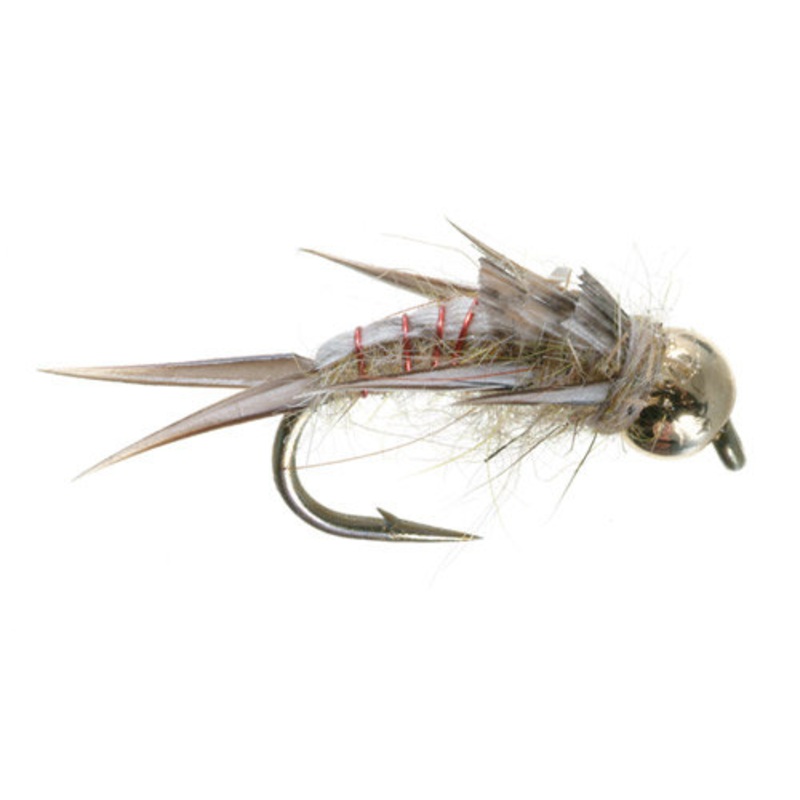 Tim Wade's North Fork Special