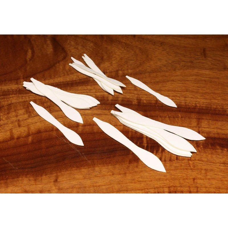 Cohen's Paddle Tail