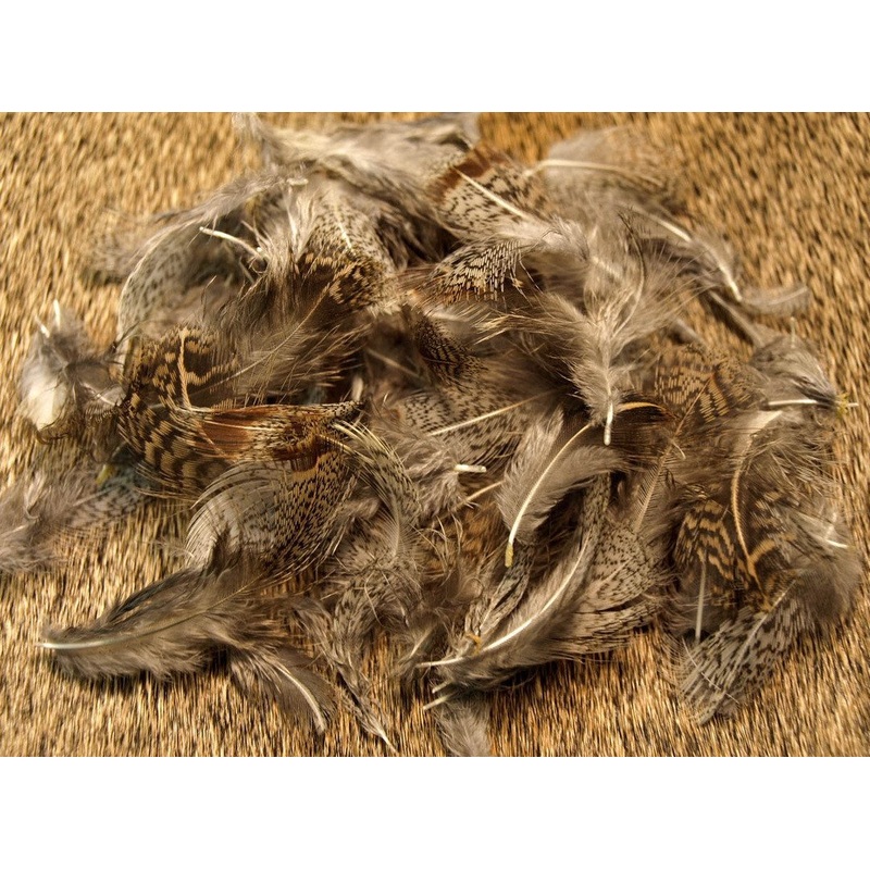 Nature's Spirit Select Partridge