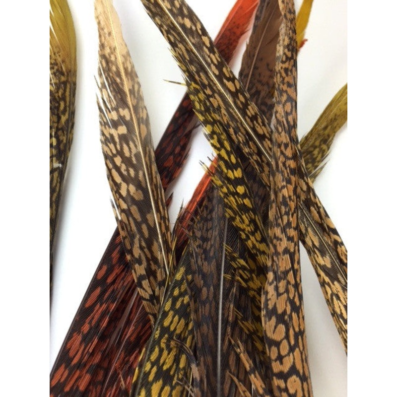 Nature's Sprit Golden Pheasant Center Tail Feather