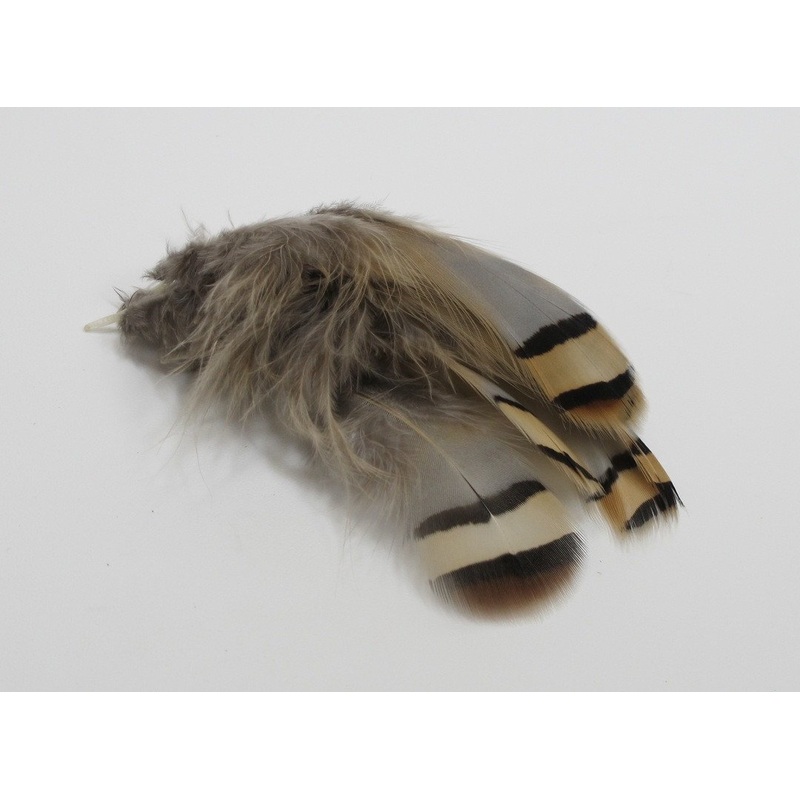 Chuker Partridge - 24 select feathers Natural