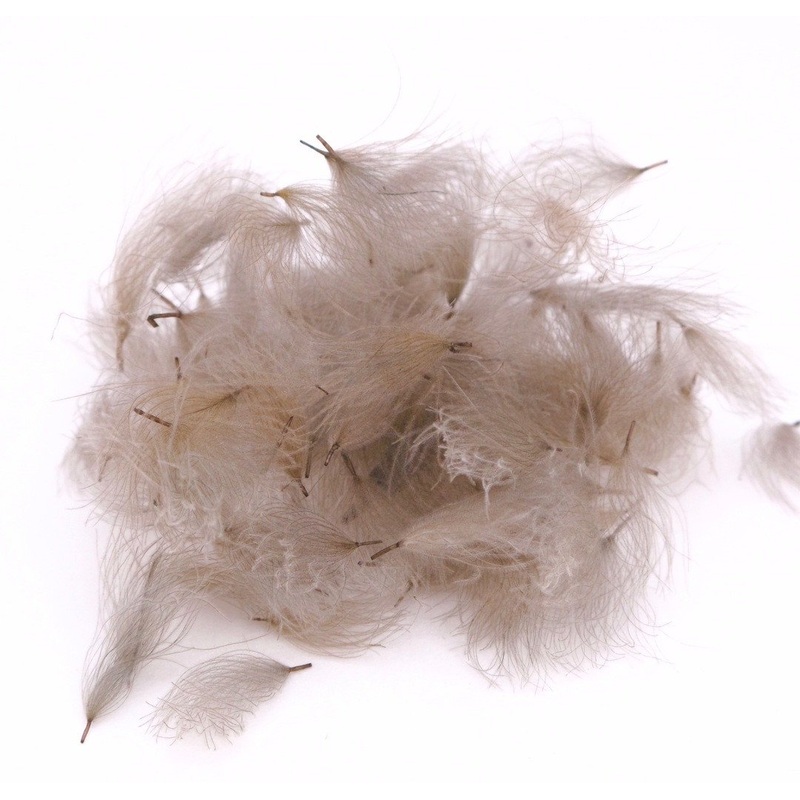 Nature's Spirit Bulk Cul De Canard CDC Tufts 1/2 gram