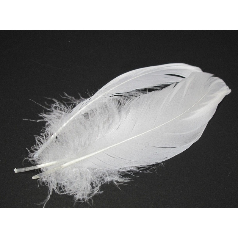 Nature's Spirit Select Goose Shoulder - 6 Extra Large Select Feathers
