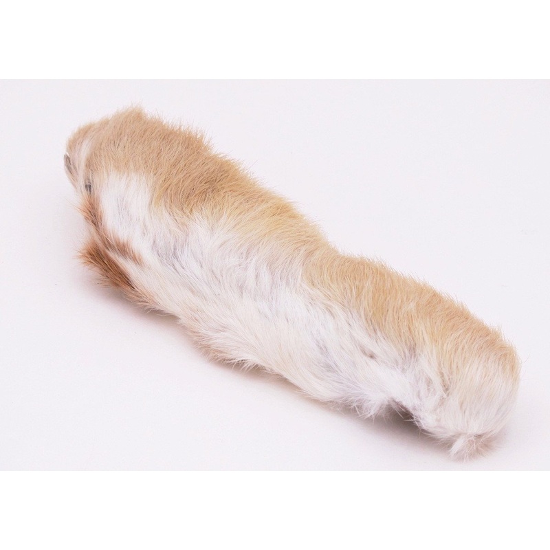 Nature's Spirit Snowshoe Rabbit Foot