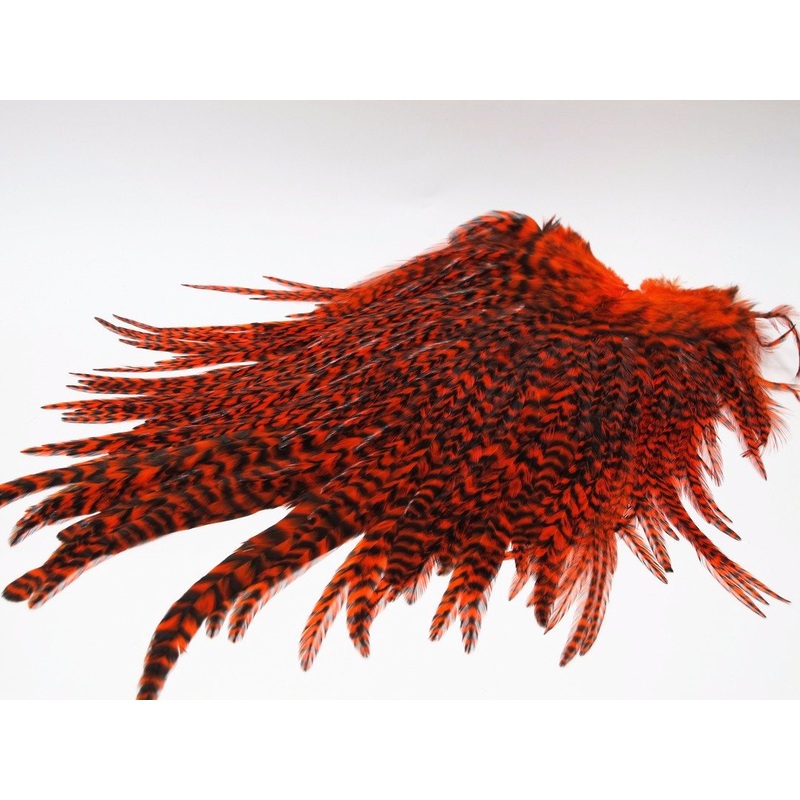Whiting American Rooster Saddles