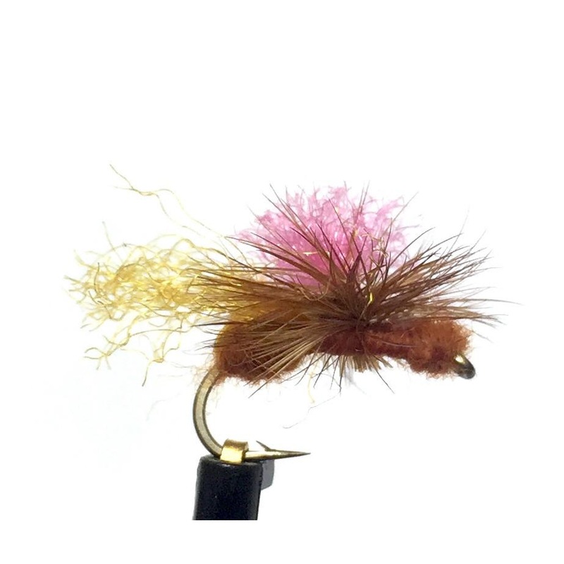 Bloom's Parachute Ant