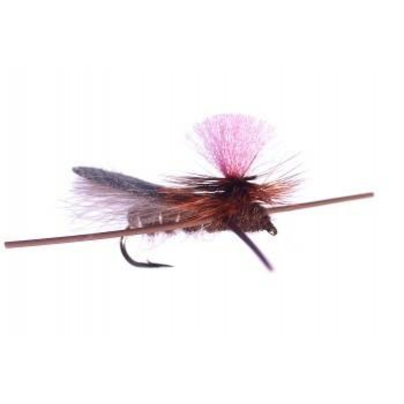 Bloom's Parachute Cricket